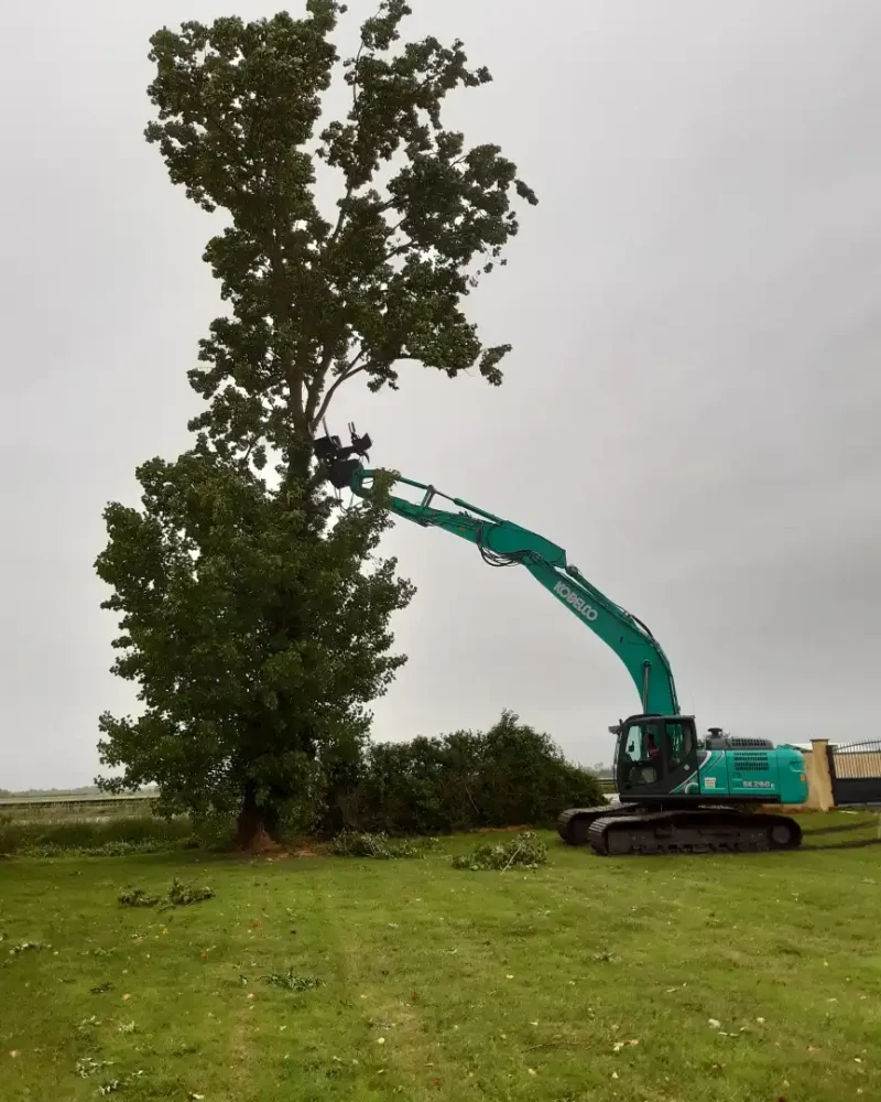 Travaux d'élagage et désencombrement à Champagné Les Marais par CEPM, travaux publics